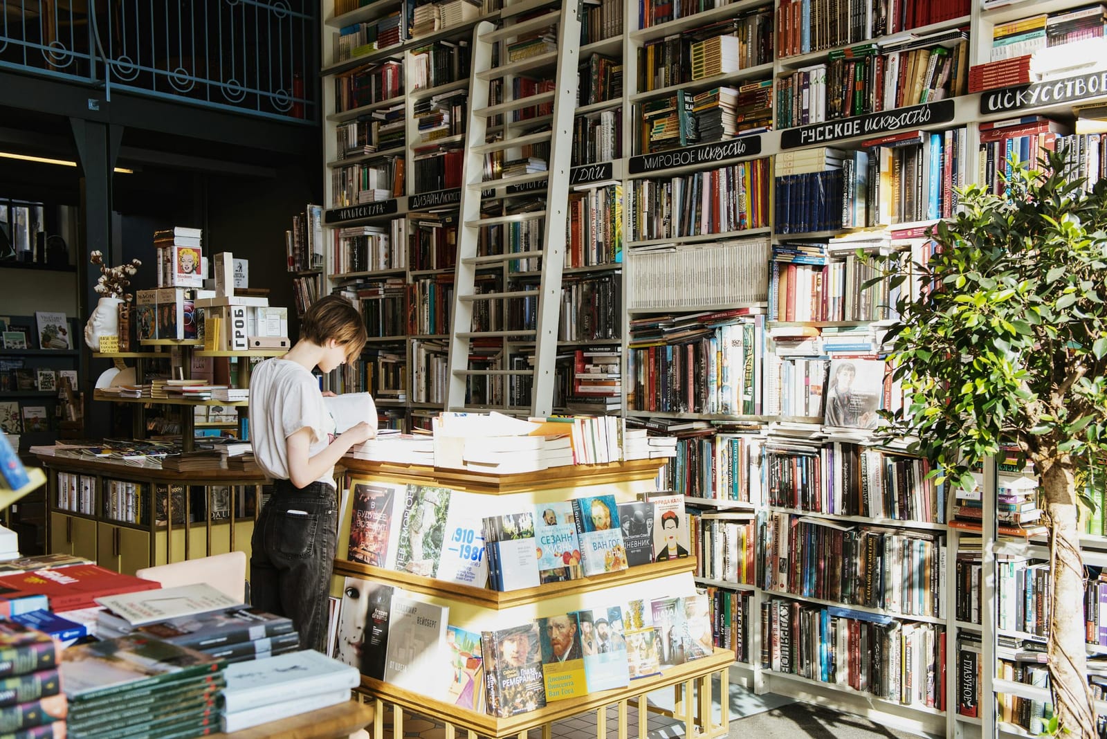 A person browsing floor-to-ceiling bookshelves in a sunlit independent bookstore, warm tones and rows of colourful spines filling the frame.